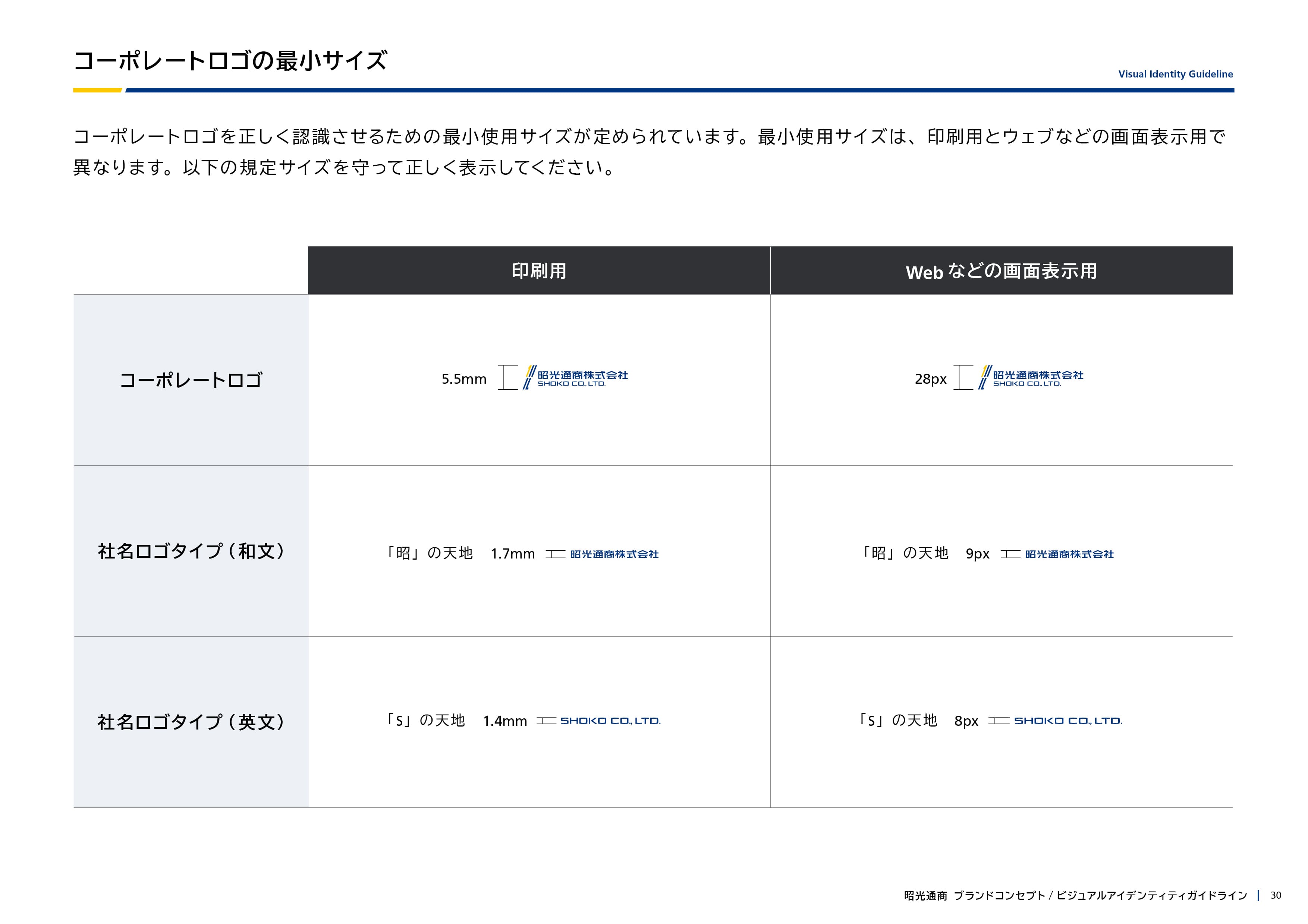 ガイドライン 30